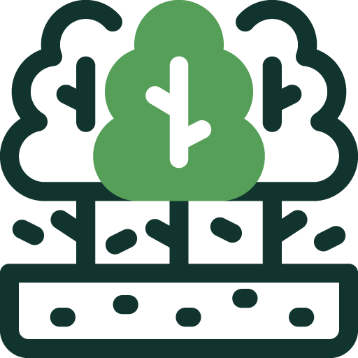 Adventure Icon 6